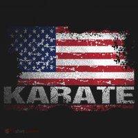 Usa Flag Karate Arts Gift Polo thumb 3