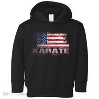 Usa Flag Karate Arts Gift Toddler Hoodie thumb 0