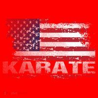 Usa Flag Karate Arts Gift Santa Hat thumb 1