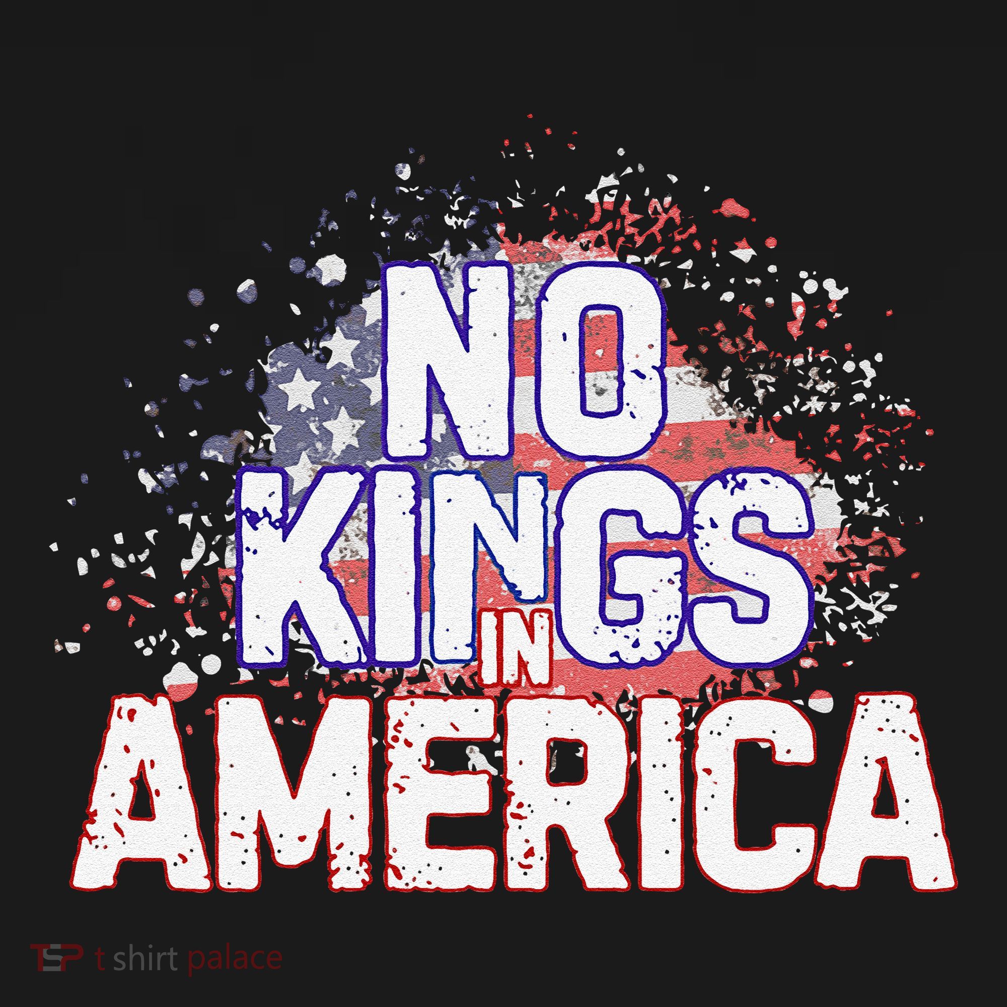 Usa Flag No Kings In America Democracy Coaster