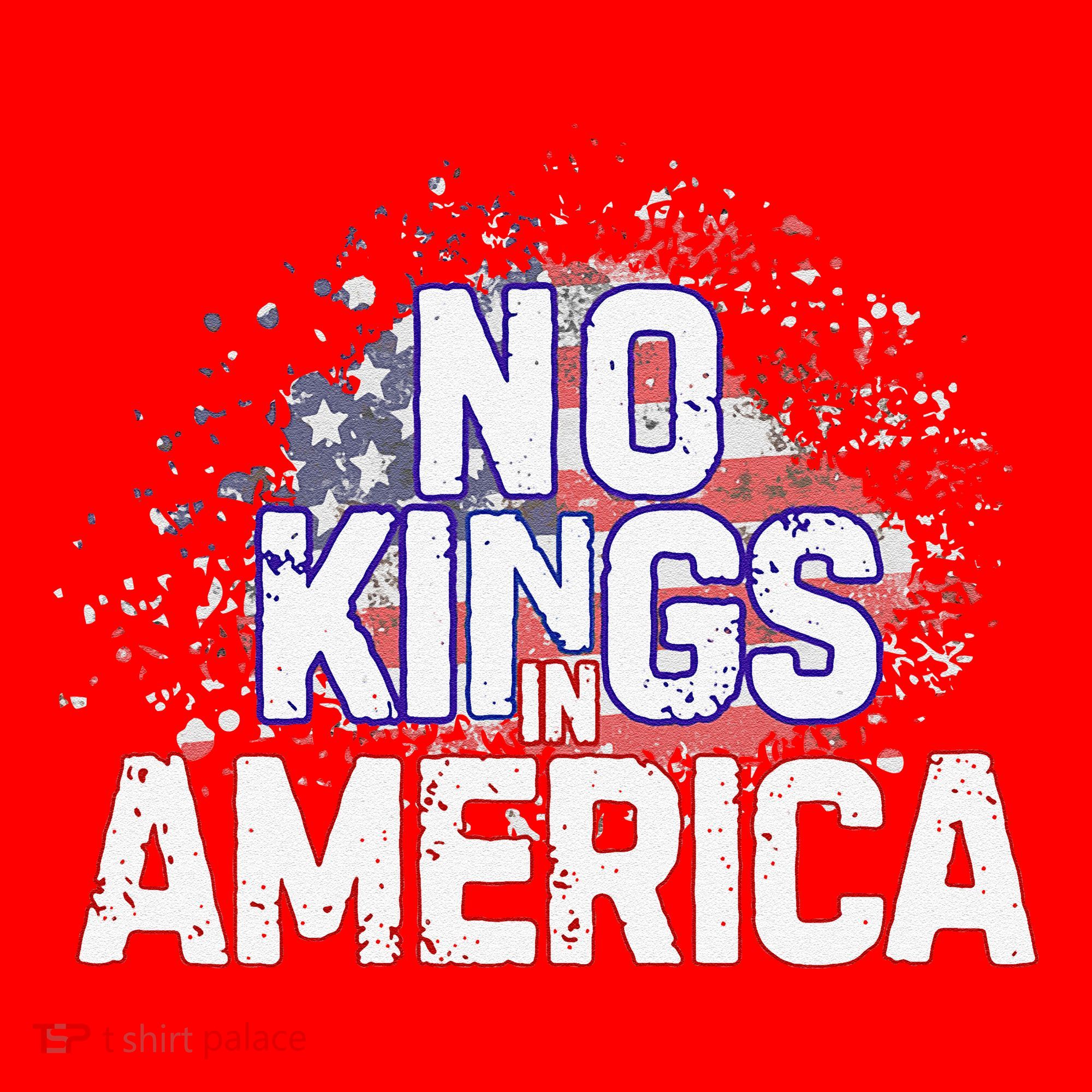 Usa Flag No Kings In America Democracy Santa Hat
