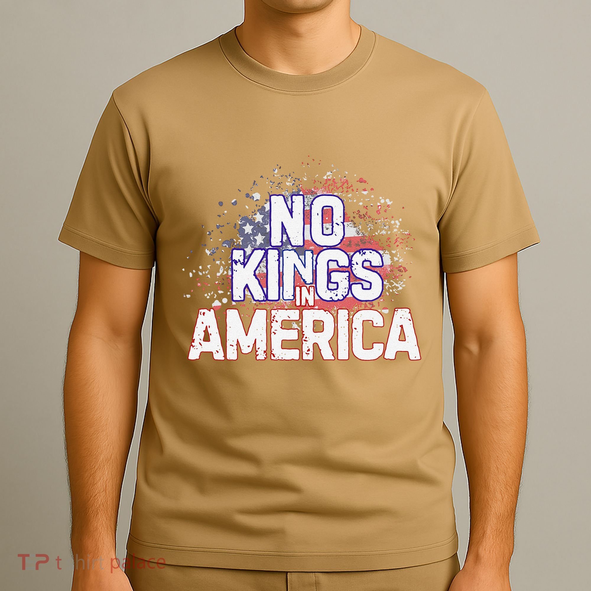 Usa Flag No Kings In America Democracy T-Shirt
