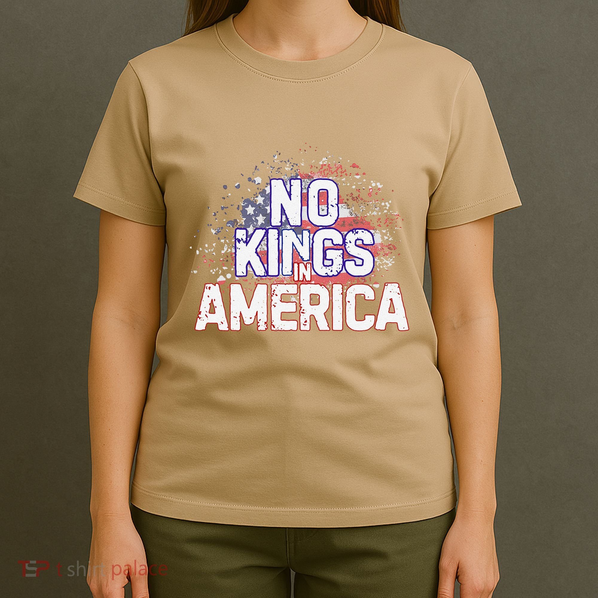 Usa Flag No Kings In America Democracy T-Shirt