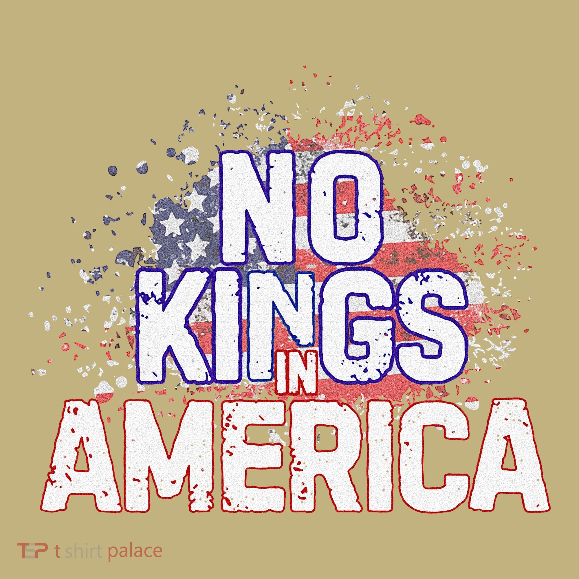 Usa Flag No Kings In America Democracy T-Shirt