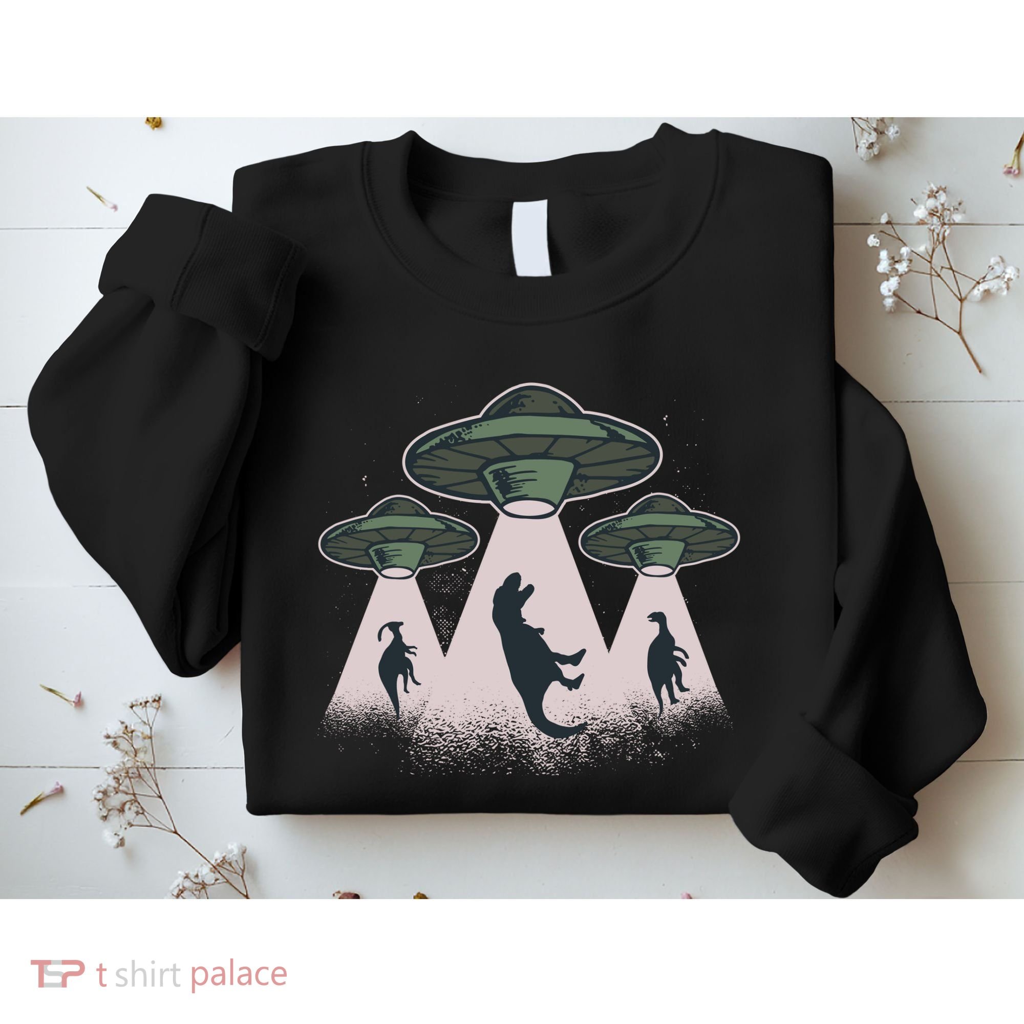 UFO Dinos Sweatshirt