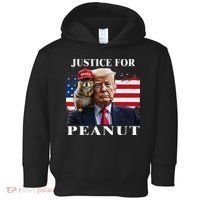 Ustice For Peanut And Fred Toddler Hoodie thumb 0