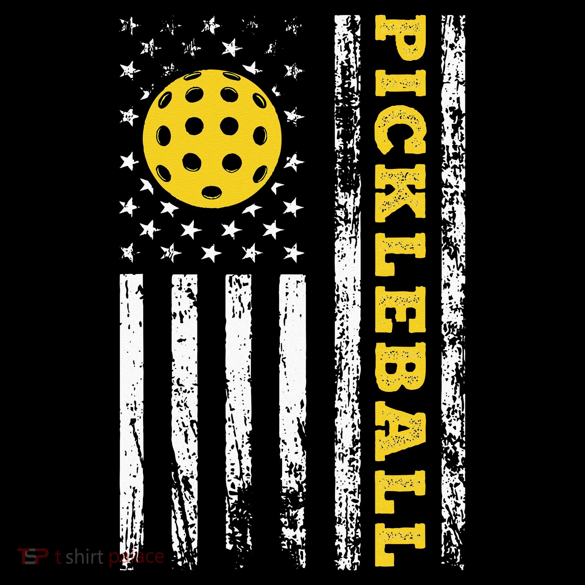 US Flag Pickleball Player Paddleball Lover T-Shirt