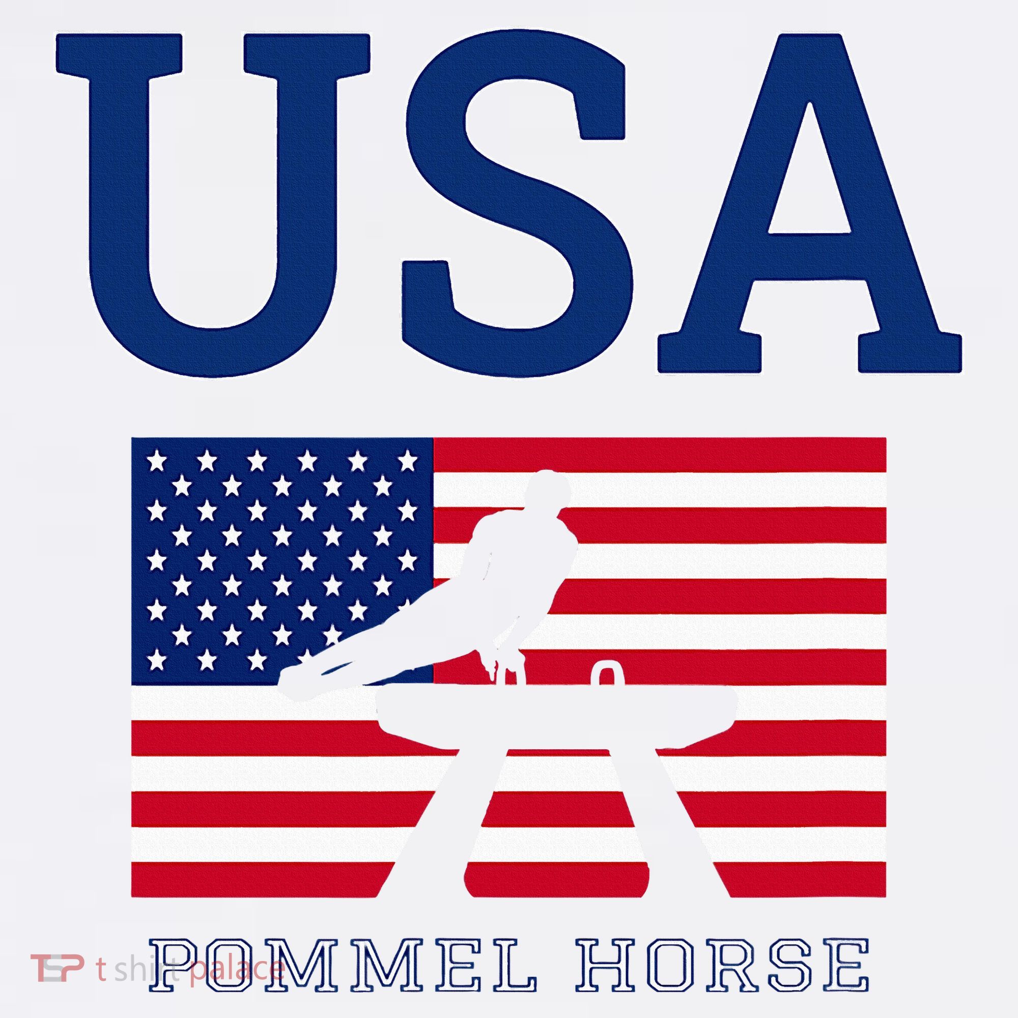 Usa Flag Pommel Horse Gymnastics Team American Gymnast Women's Hoodie