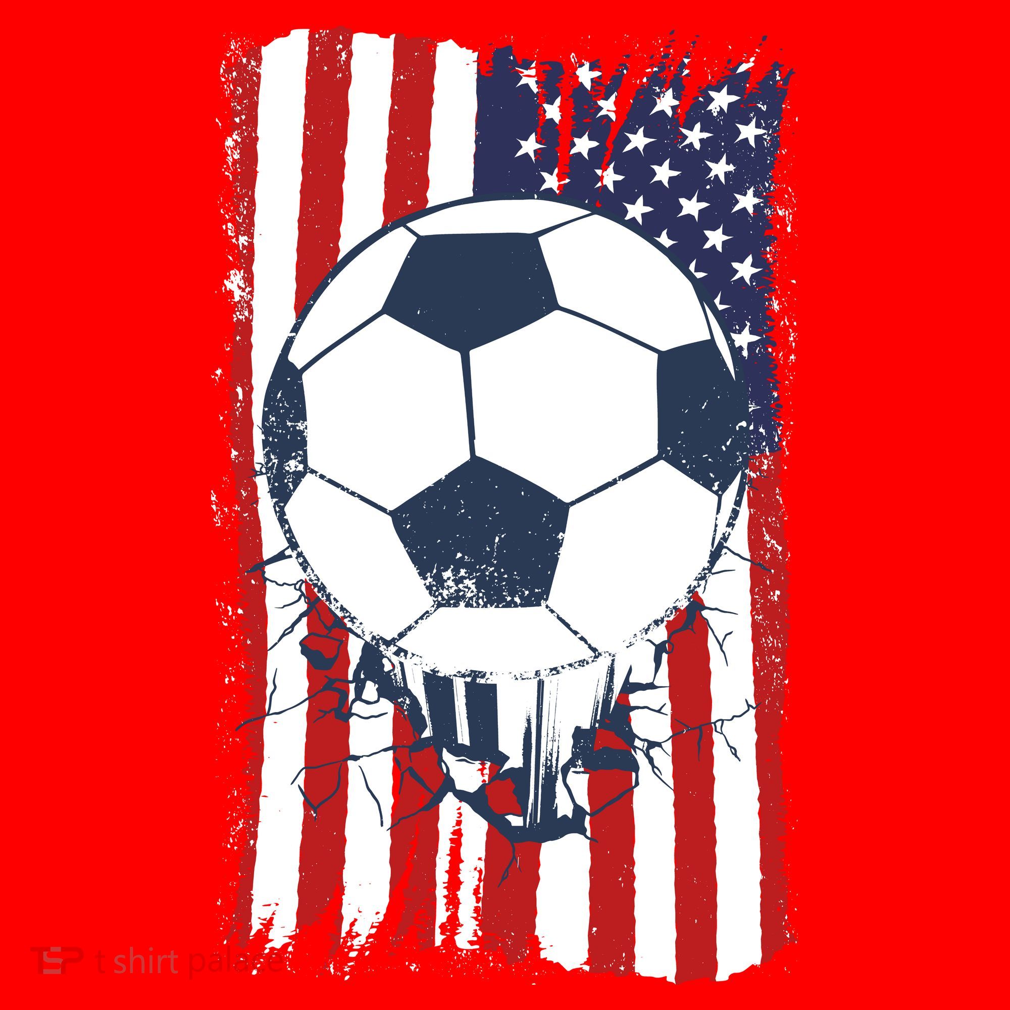 USA Flag Soccer Lover Santa Hat
