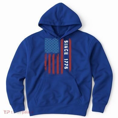 Usa Flag Since 1776 Revolution Declaration Freedom Military Gift Hoodie