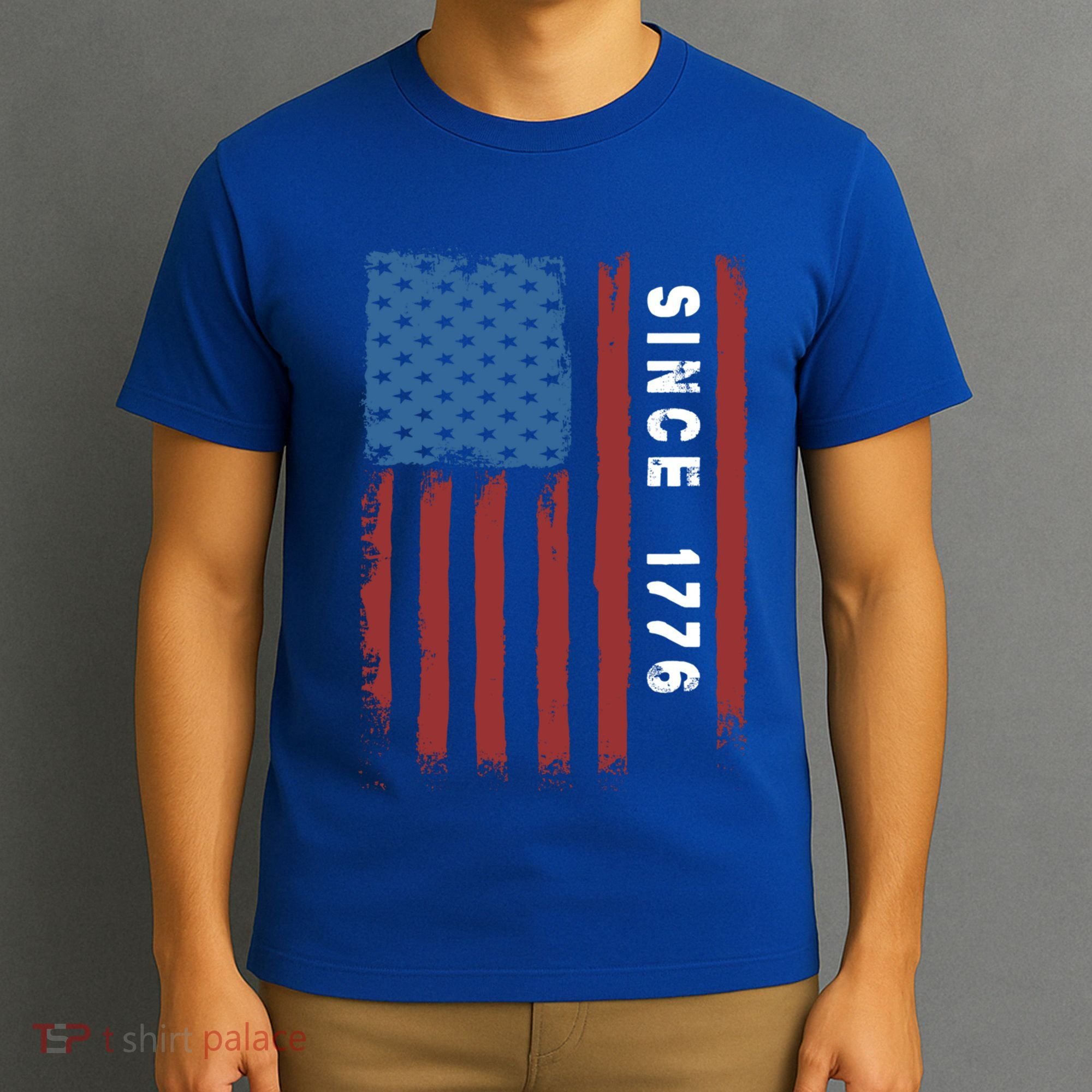 Usa Flag Since 1776 Revolution Declaration Freedom Military Gift T-Shirt