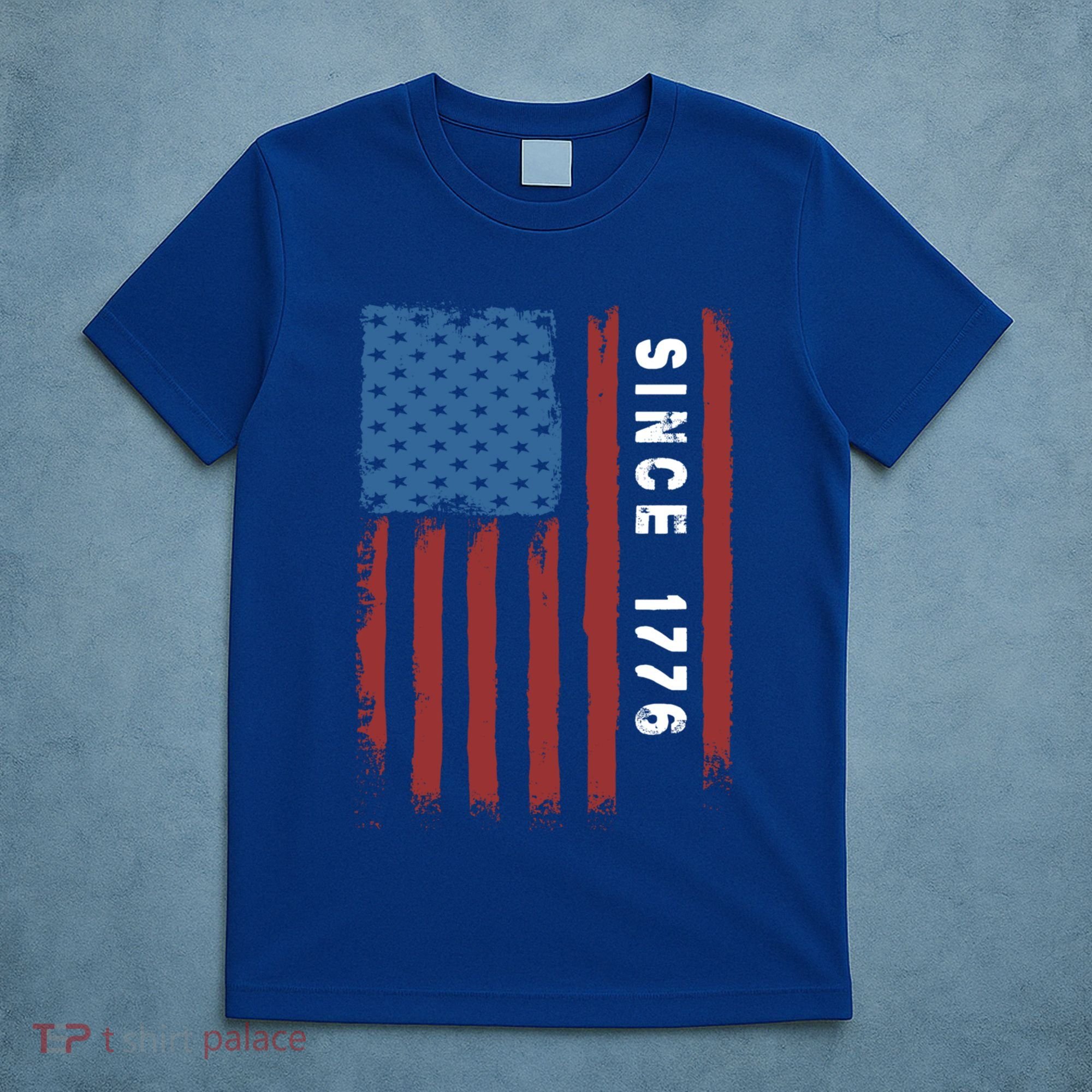 Usa Flag Since 1776 Revolution Declaration Freedom Military Gift T-Shirt