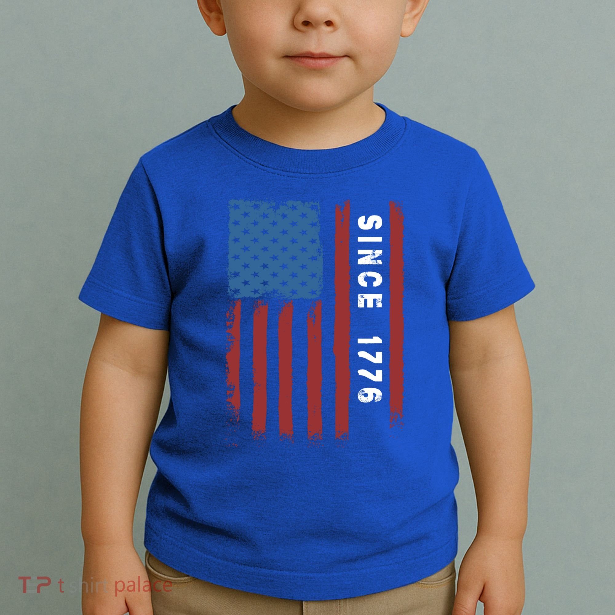 Usa Flag Since 1776 Revolution Declaration Freedom Military Gift Toddler T-Shirt