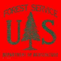 Us Forest Service (Distressed Green) Santa Hat thumb 1
