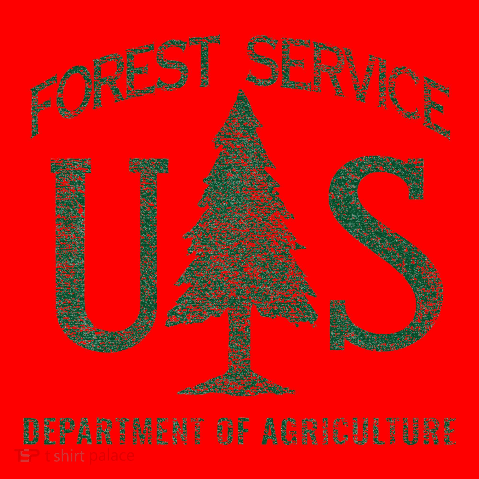 Us Forest Service (Distressed Green) Santa Hat