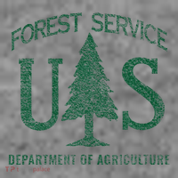 Us Forest Service (Distressed Green) Toddler Hoodie thumb 2
