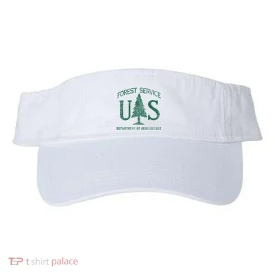 Visor