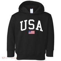 USA Flag Toddler Hoodie thumb 0