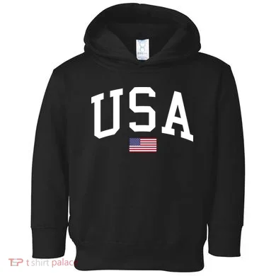USA Flag Toddler Hoodie