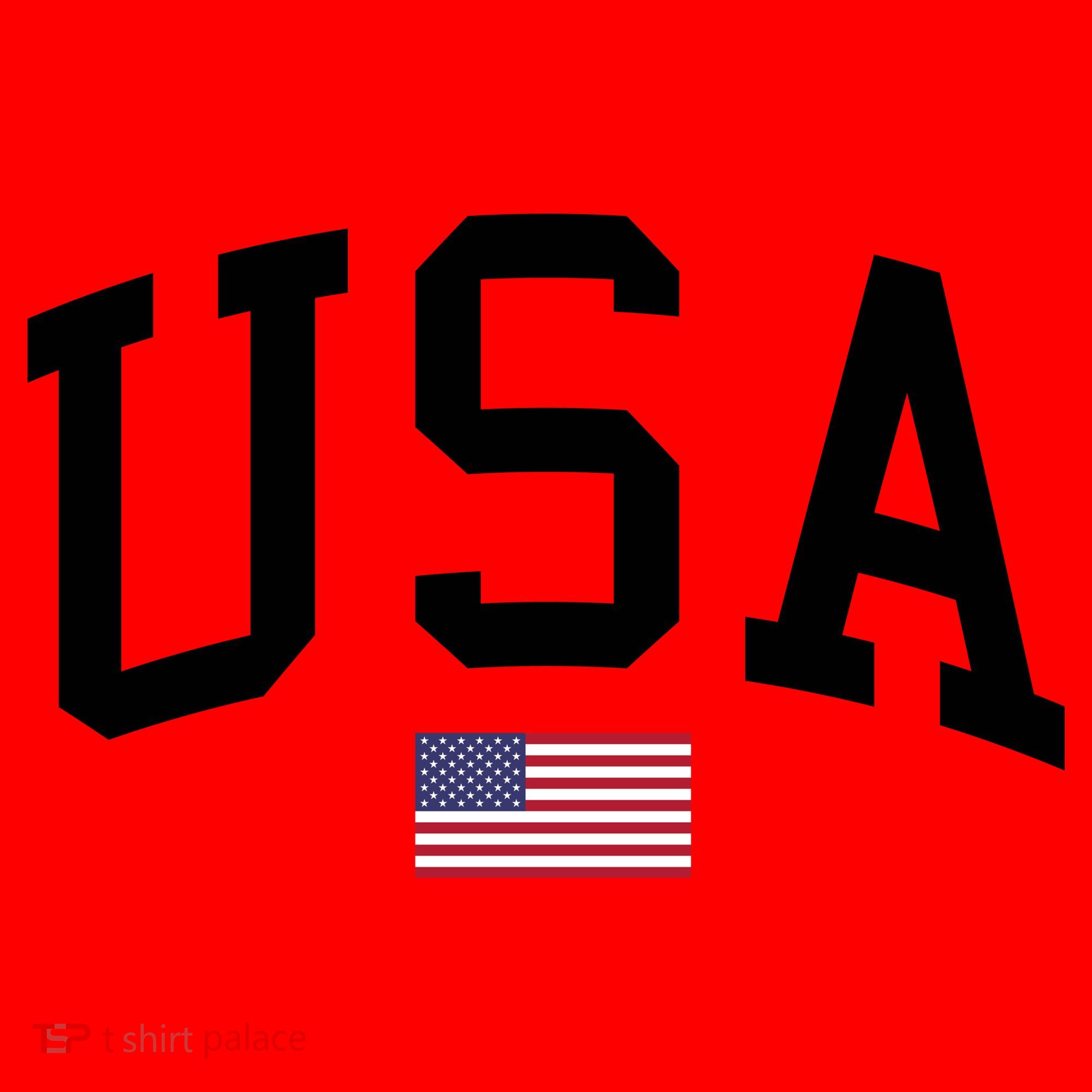 USA Flag Santa Hat