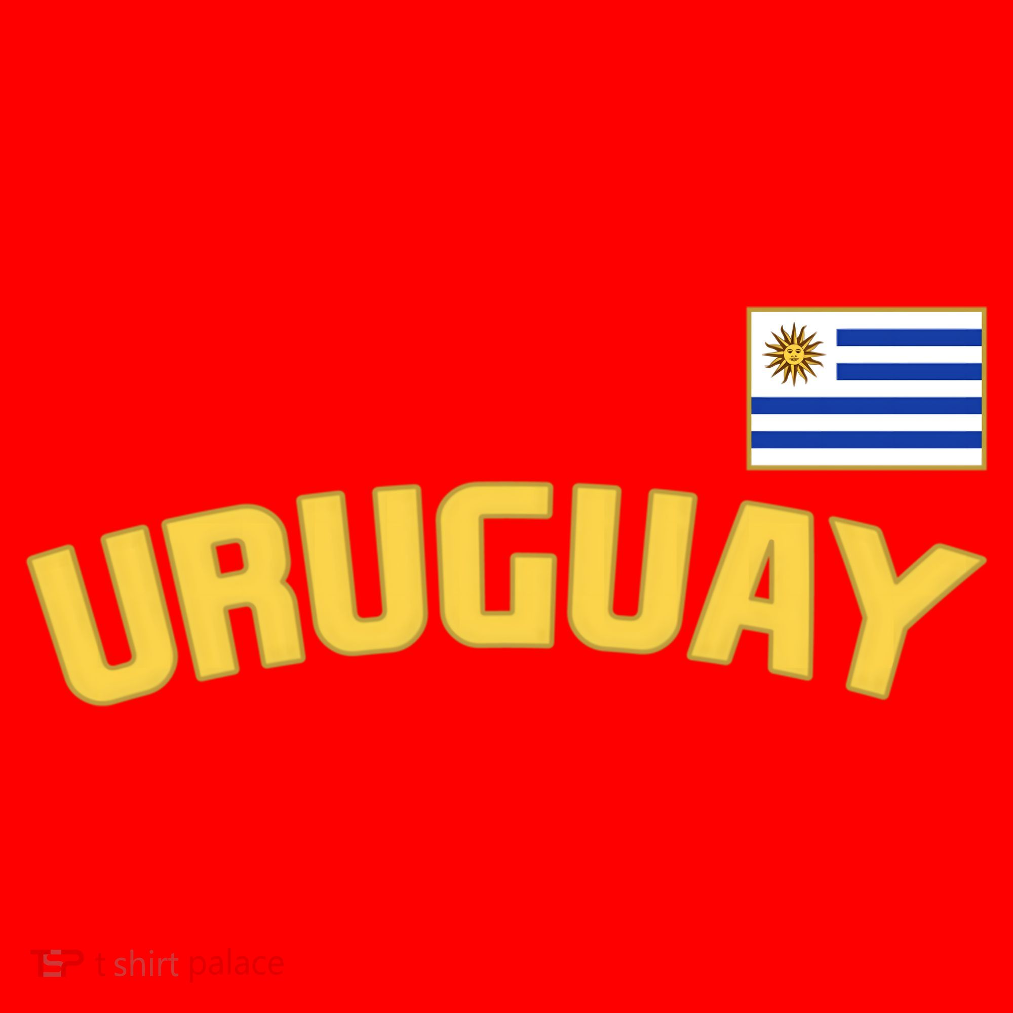 Uruguay Flag Uruguayan Pride International Country Funny Gift Santa Hat