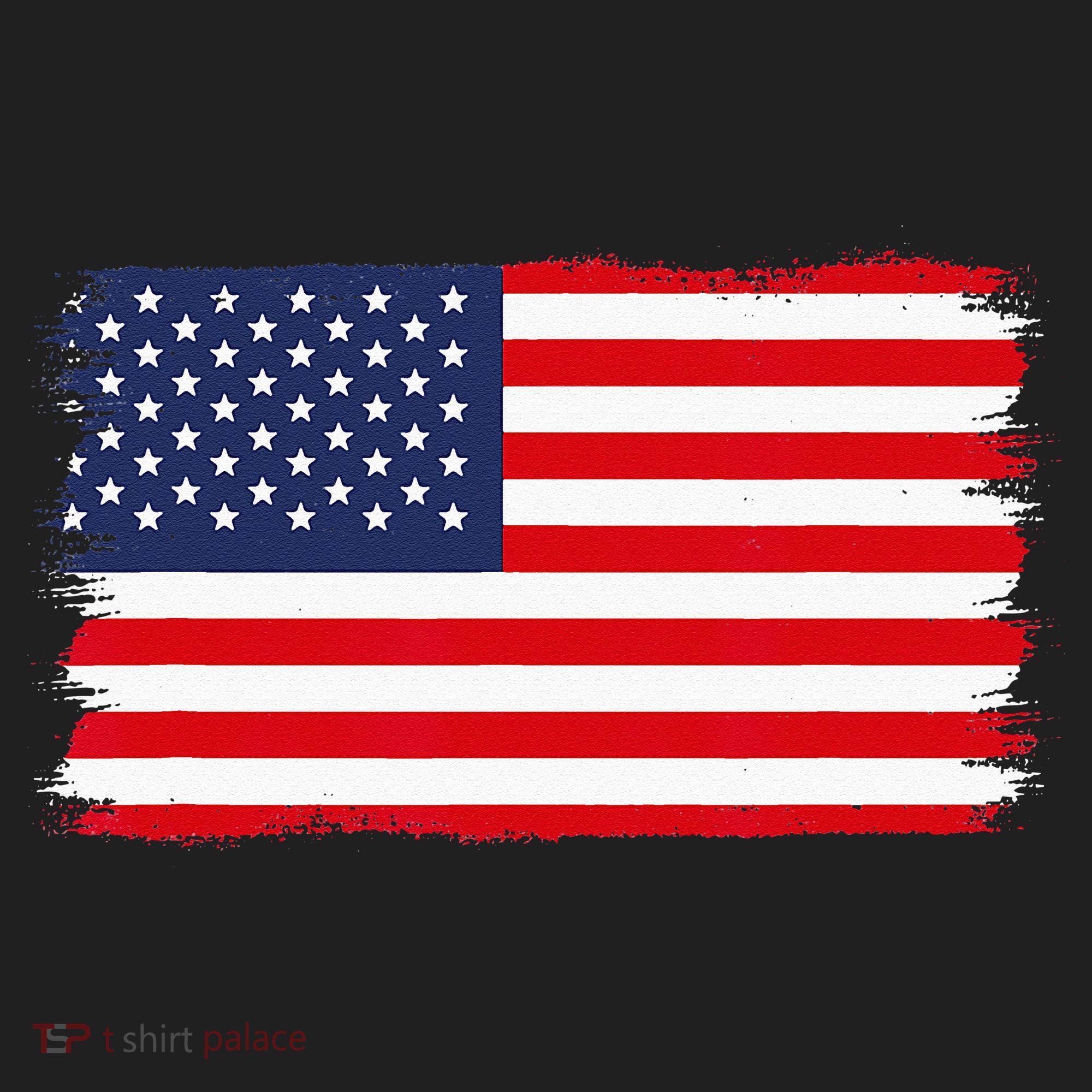 USA Flag Beanie