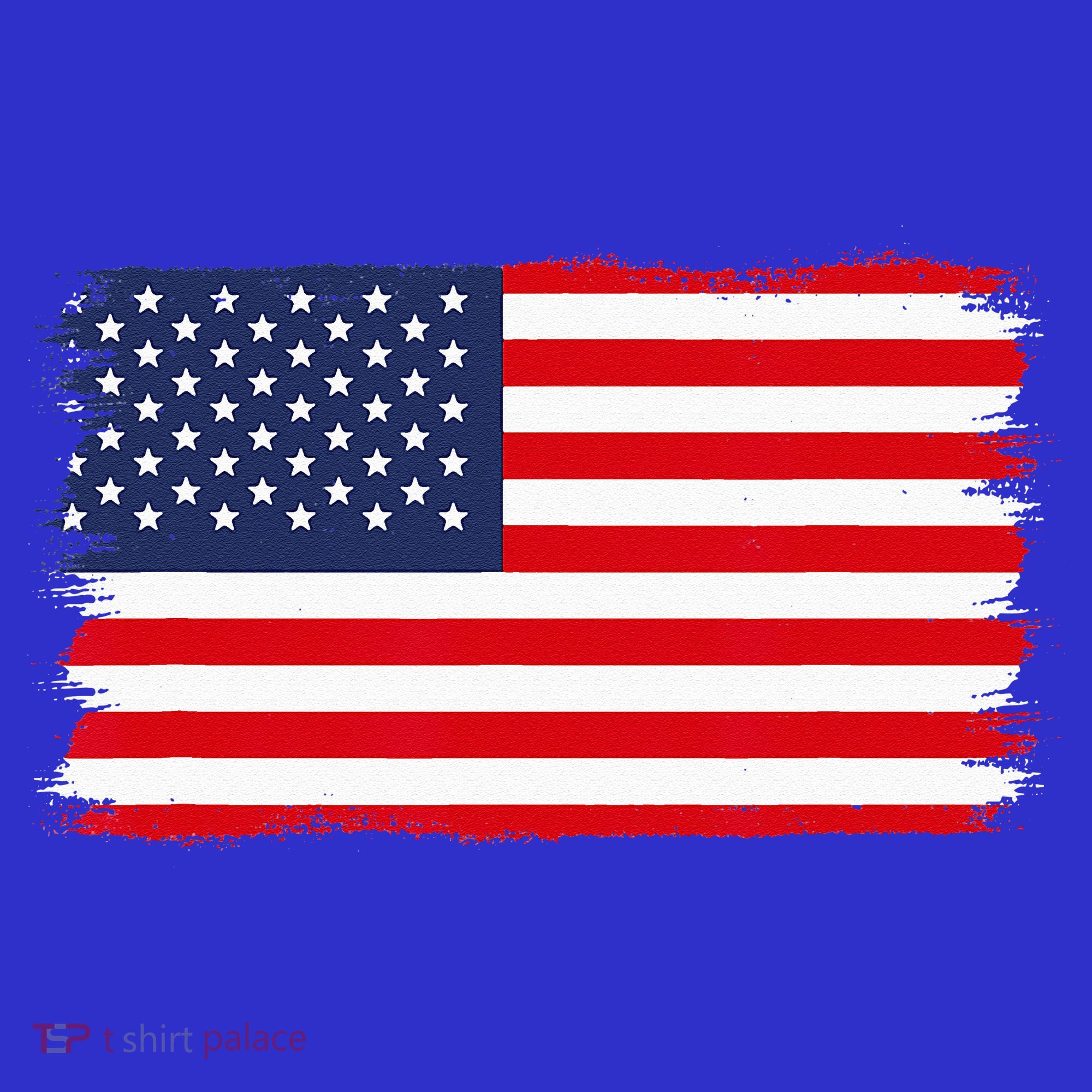 USA Flag Kids Long Sleeve Shirt