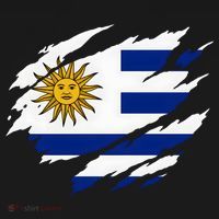 Uruguay Flag With Sun Graphic For Soccer Fans Hoodie thumb 7