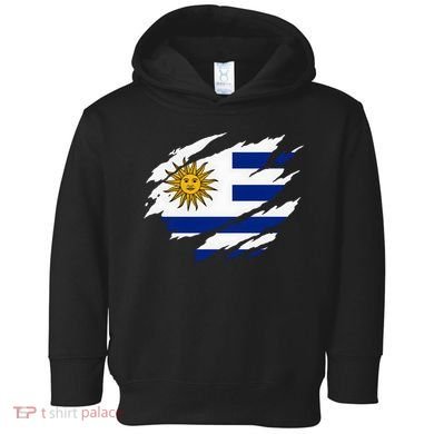 Uruguay Flag With Sun Graphic For Soccer Fans Toddler Hoodie