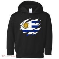 Uruguay Flag With Sun Graphic For Soccer Fans Toddler Hoodie thumb 0