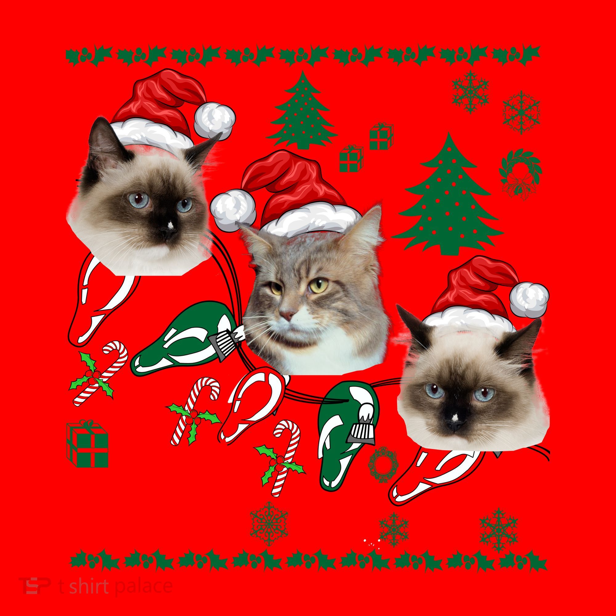 Ugly Cat Christmas Sweatshirt Sweater Santa Hat