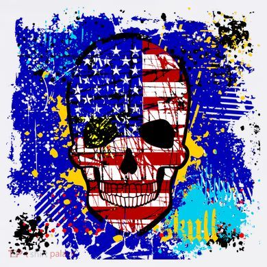 USA Grunge Skull Cooling Performance Crew T-Shirt