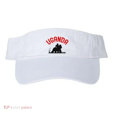 Visor