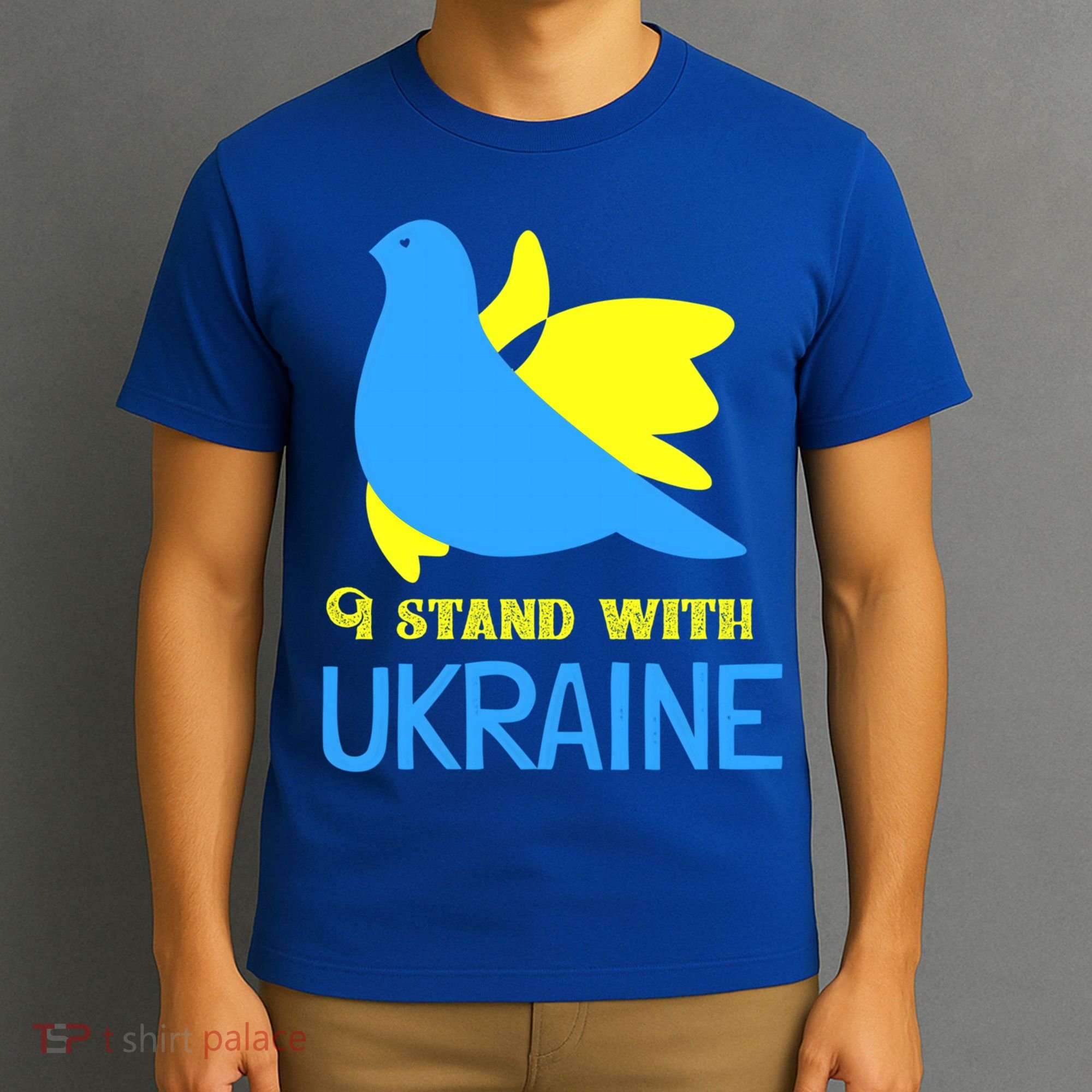 Ukrainian Gift Support Ukrainian Flag I Stand With Ukraine Gift T-Shirt