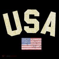 Usa Gold Text Centre Flag Coaster thumb 2