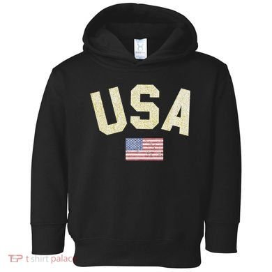 Usa Gold Text Centre Flag Toddler Hoodie