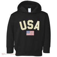Usa Gold Text Centre Flag Toddler Hoodie thumb 0