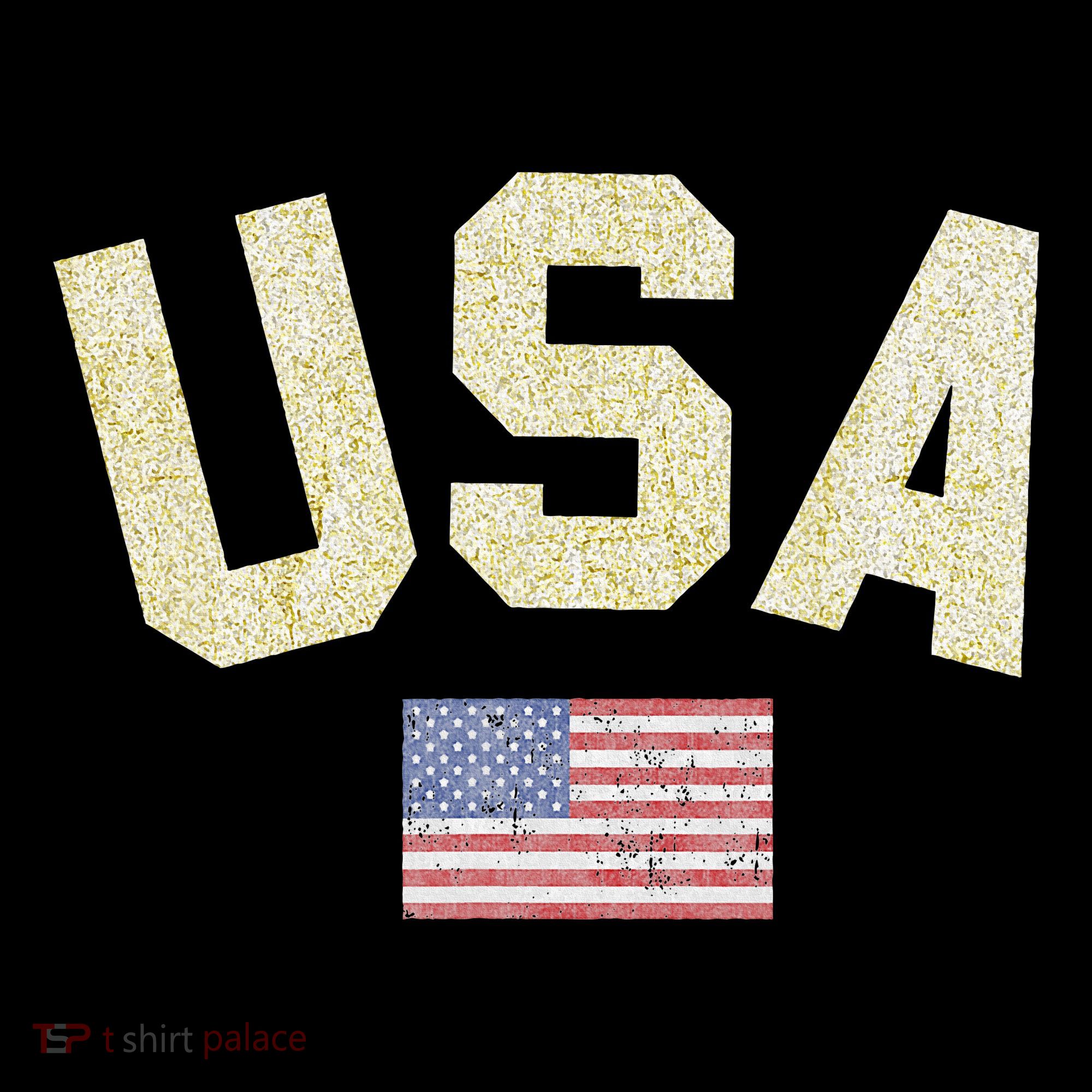 Usa Gold Text Centre Flag Kids Long Sleeve Shirt