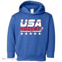 USA Hockey 2026 Champions Toddler Hoodie thumb 0