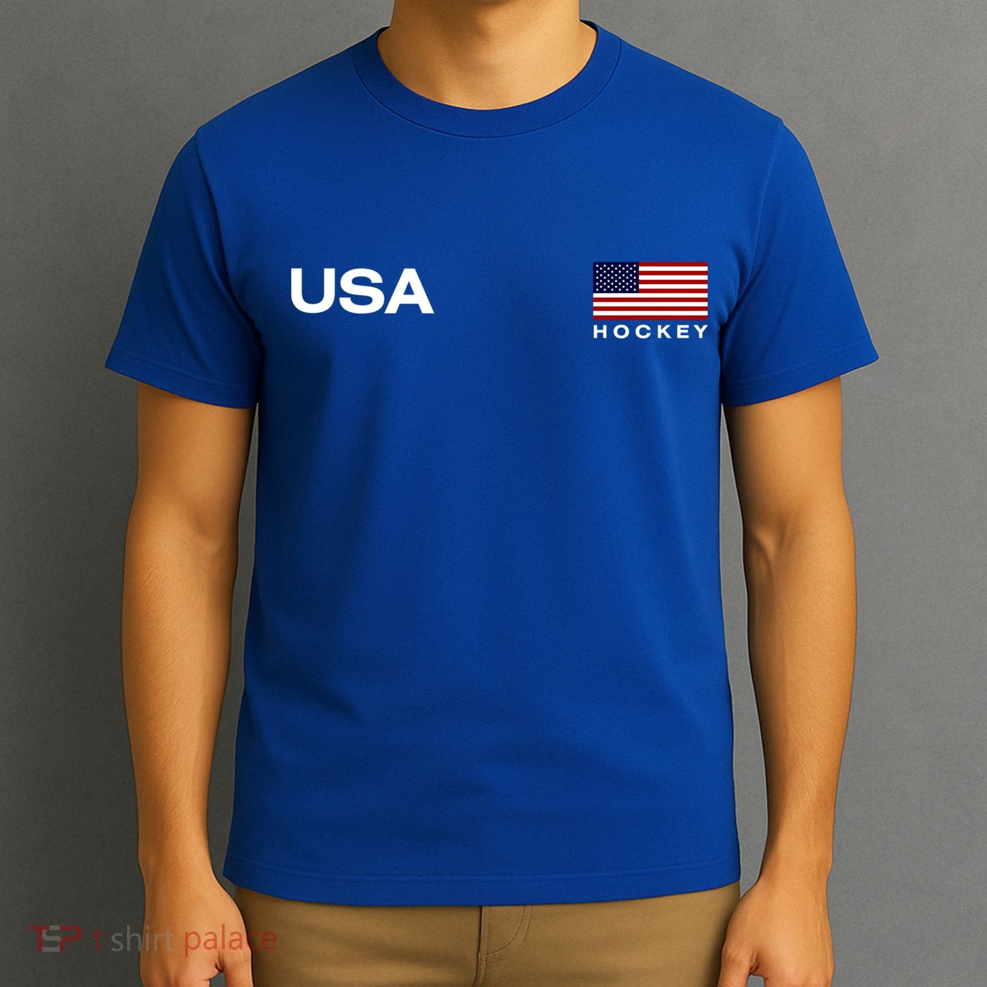 Usa Hockey Flag Gift T-Shirt