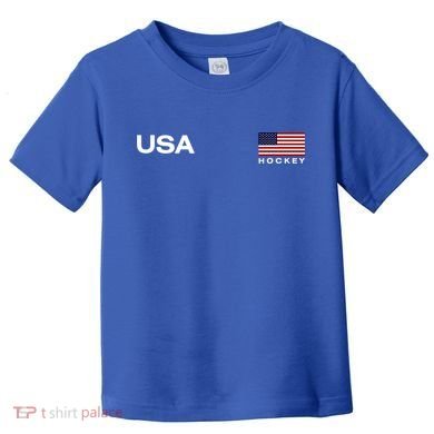 Usa Hockey Flag Gift Toddler T-Shirt