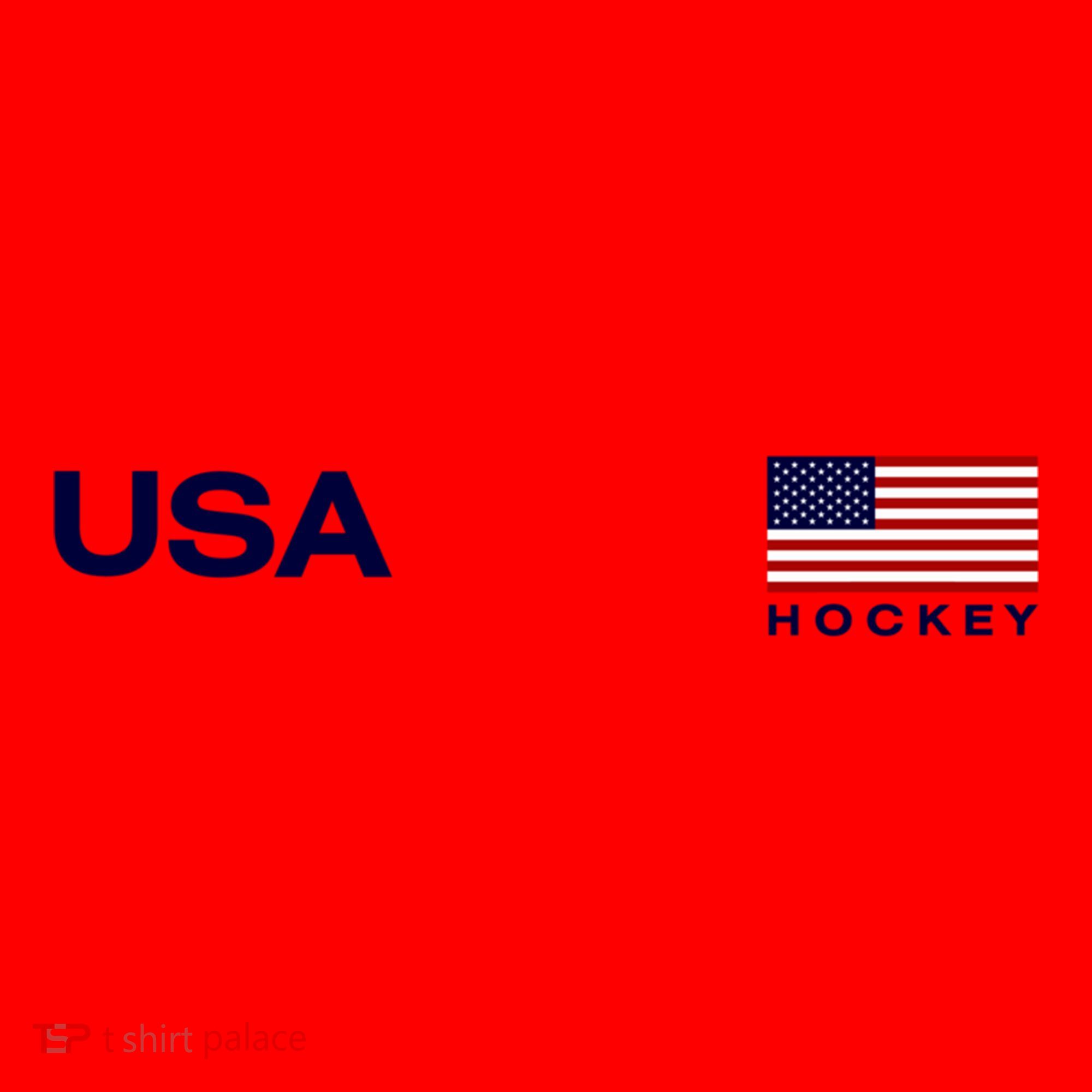Usa Hockey Flag Gift Santa Hat