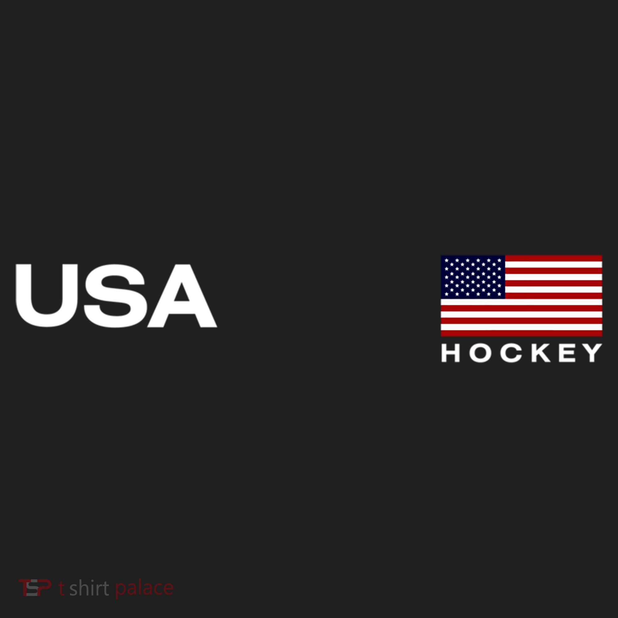 Usa Hockey Flag Gift Beanie