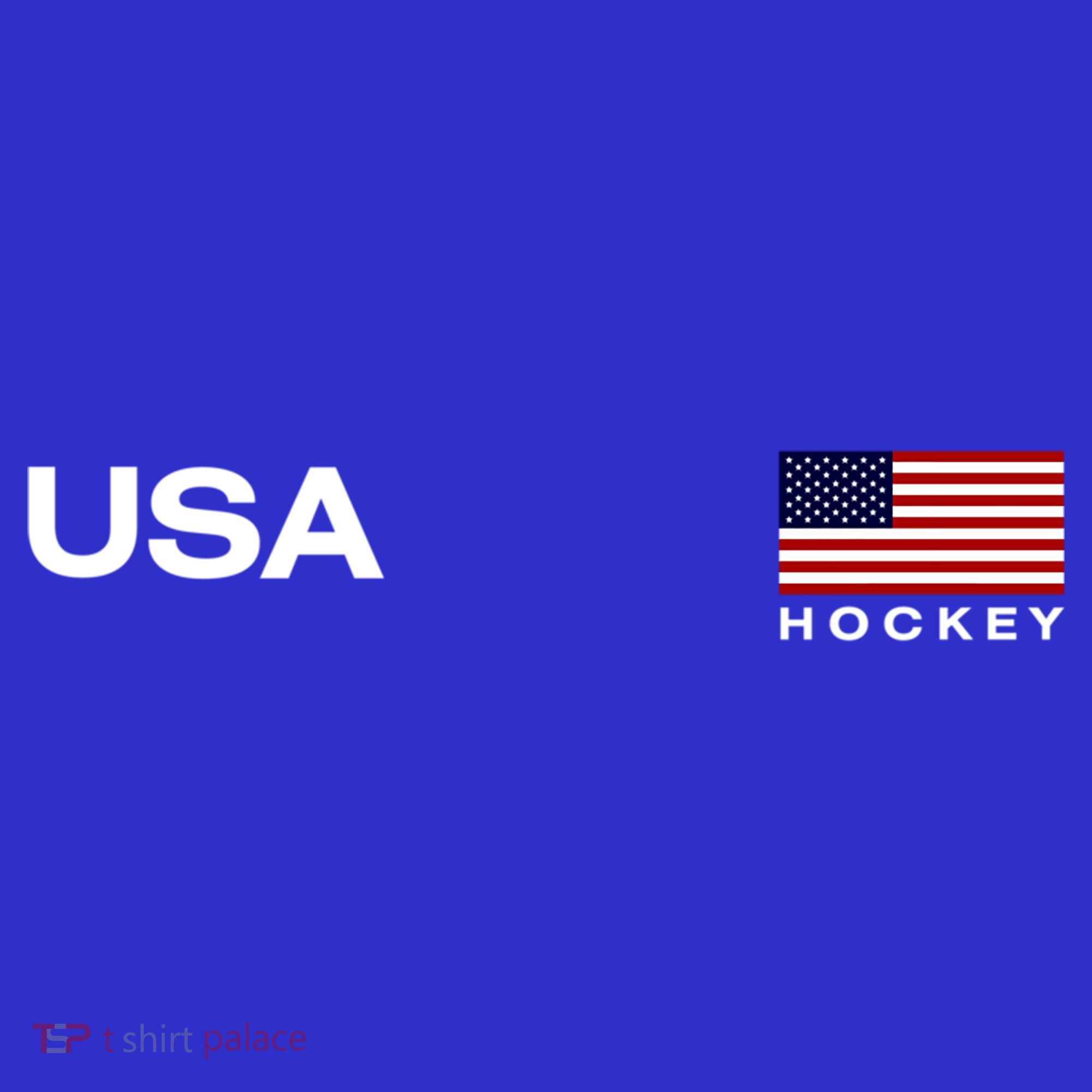 Usa Hockey Flag Gift Sweatshirt