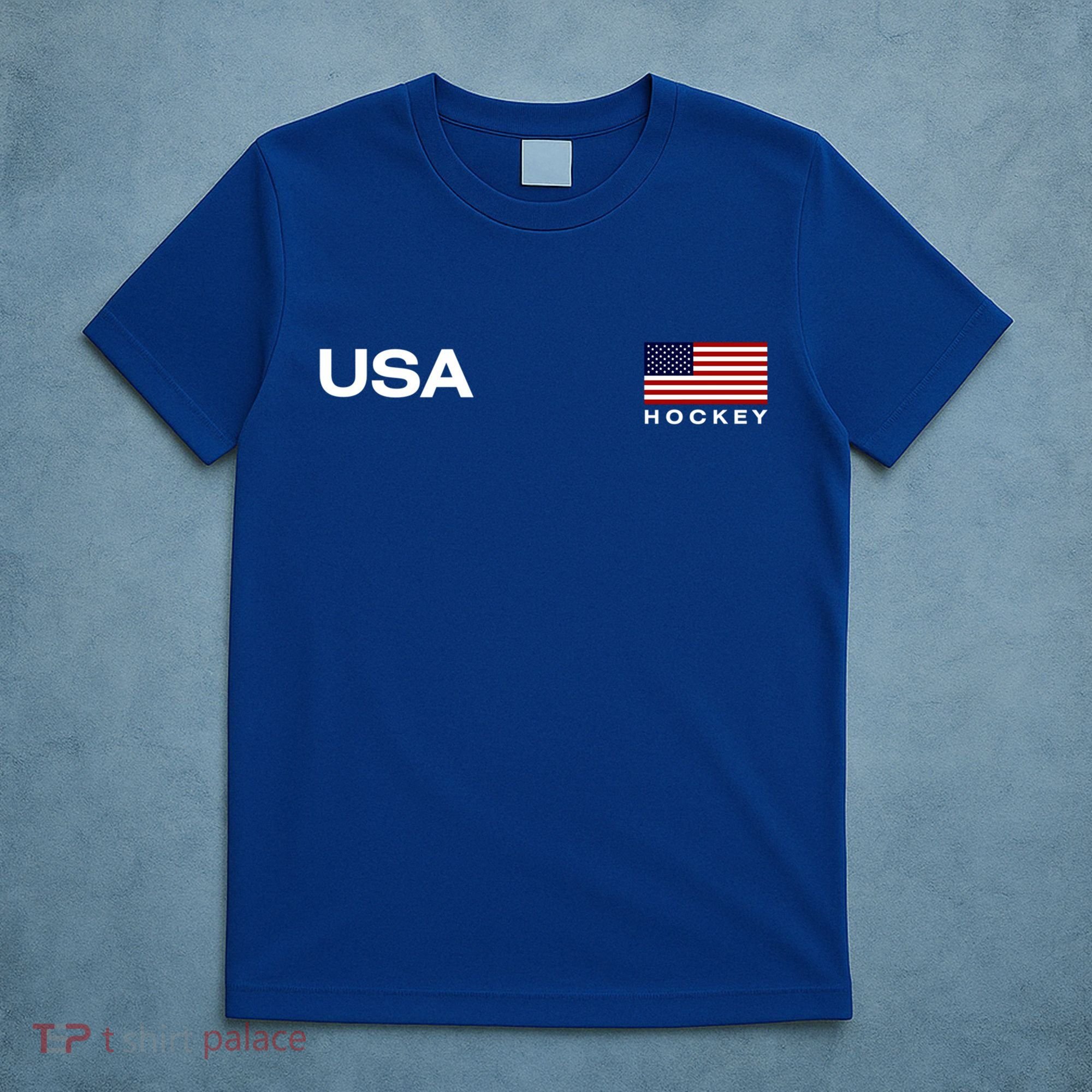 Usa Hockey Flag Gift T-Shirt