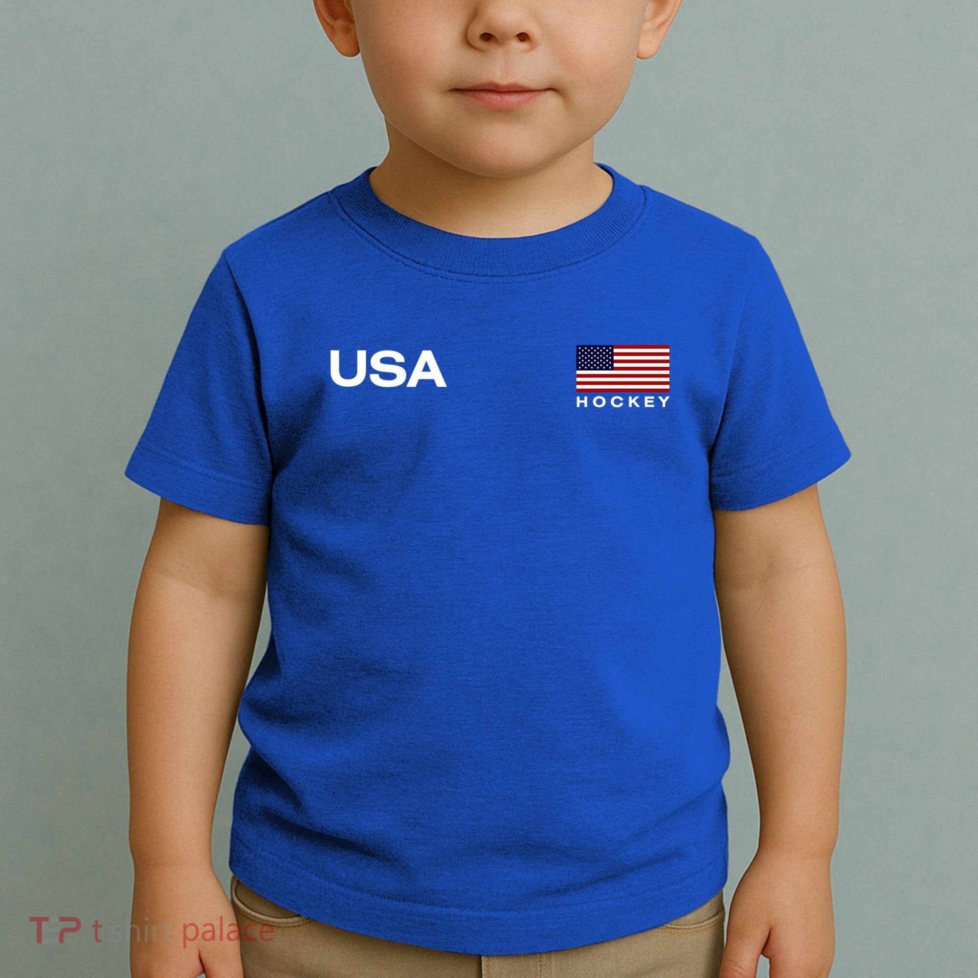 Usa Hockey Flag Gift Toddler T-Shirt