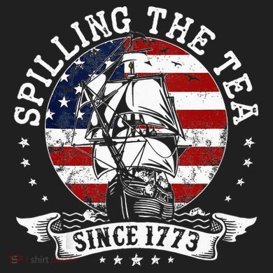 Us History Teacher Historian Spilling The Tea Since 1773 12oz Stainless Steel Coffee Mug