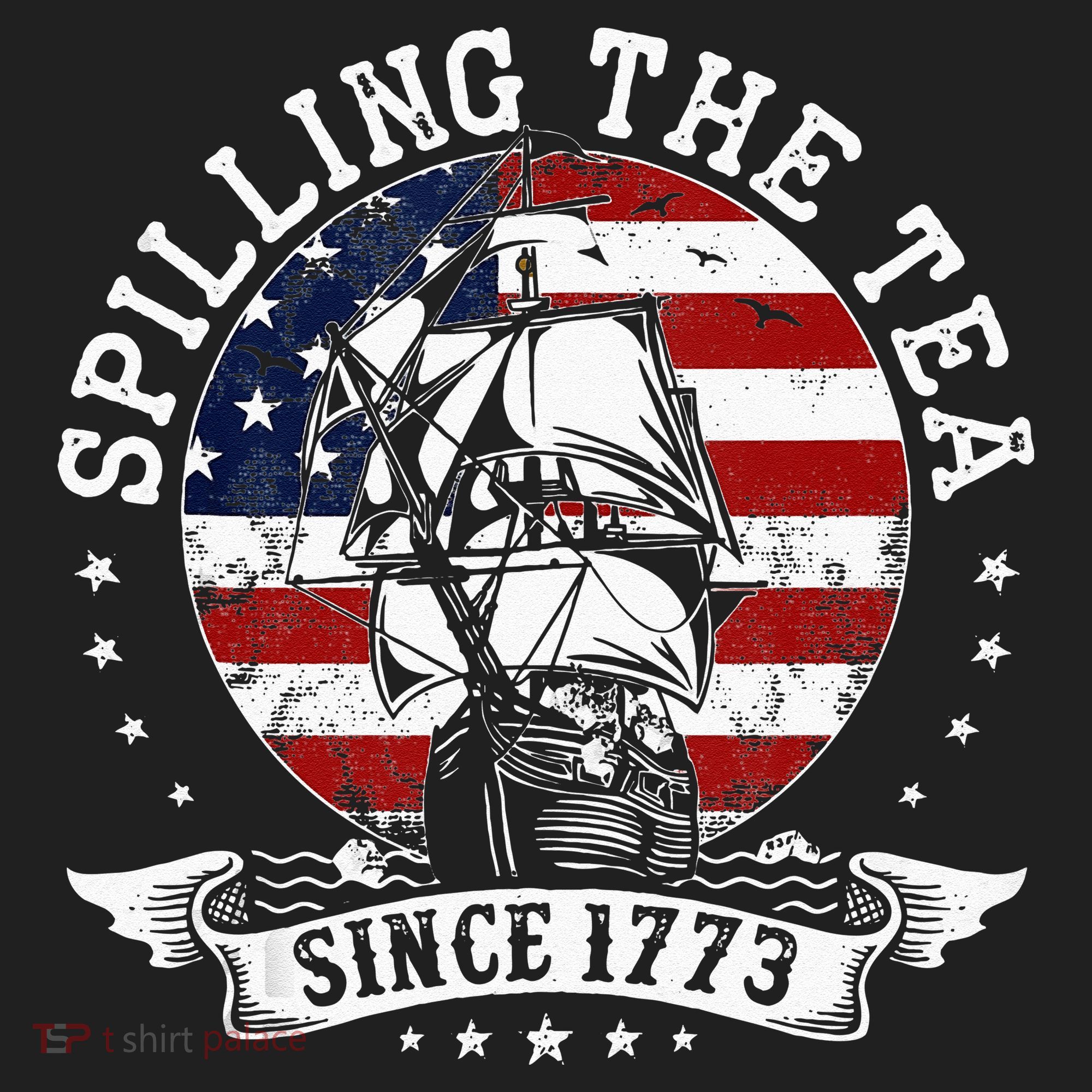 Us History Teacher Historian Spilling The Tea Since 1773 Tumbler
