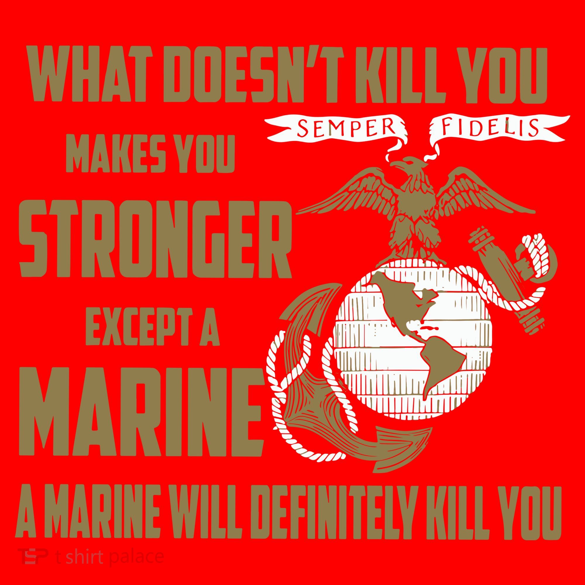 Marine What Doesn't Kill You Makes Your Stronger US Santa Hat