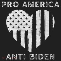 Utra MAGA Conservtive Anti Biden Fourth Of July Beanie thumb 2